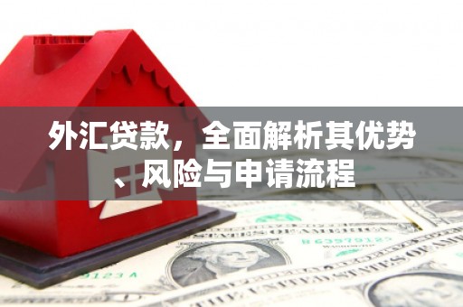 旌德外汇贷款，全面解析其优势、风险与申请流程