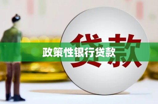 旌德政策性银行贷款