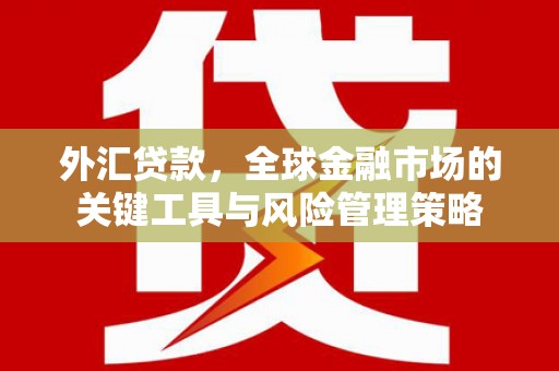 旌德外汇贷款，全球金融市场的关键工具与风险管理策略