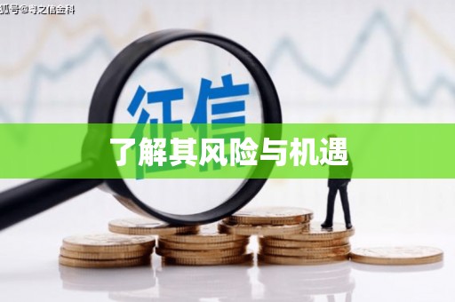 旌德了解其风险与机遇