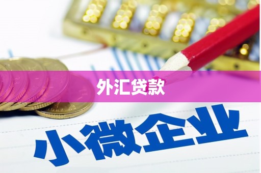 旌德外汇贷款