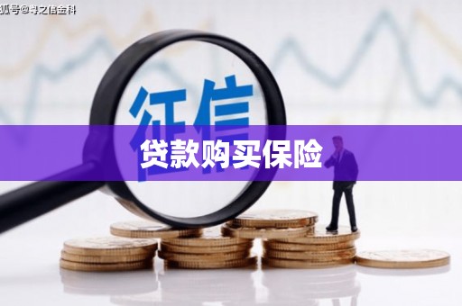 旌德贷款购买保险
