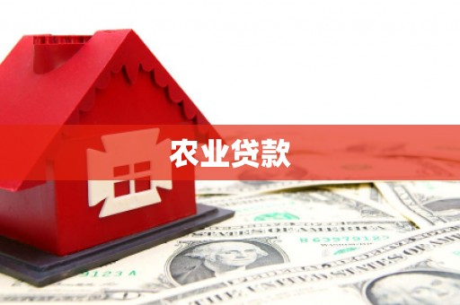 旌德农业贷款