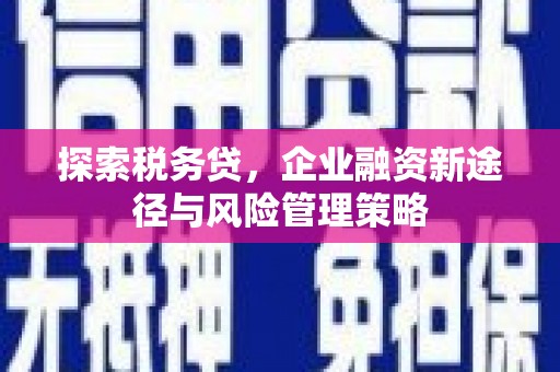 旌德探索税务贷，企业融资新途径与风险管理策略