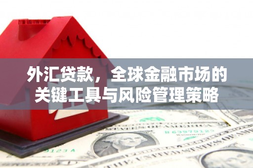 旌德外汇贷款，全球金融市场的关键工具与风险管理策略