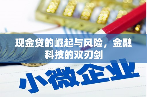 旌德现金贷的崛起与风险，金融科技的双刃剑