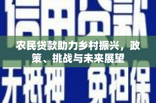 旌德农民贷款助力乡村振兴，政策、挑战与未来展望