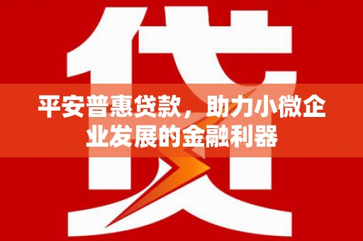 旌德平安普惠贷款，助力小微企业发展的金融利器