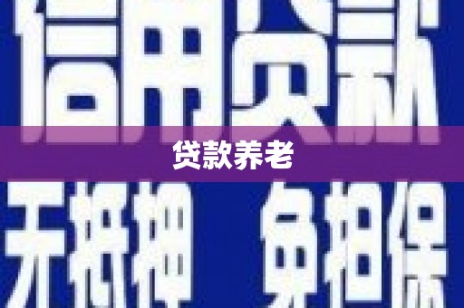 旌德贷款养老