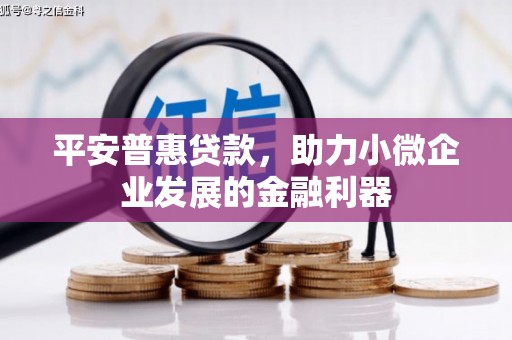 旌德平安普惠贷款，助力小微企业发展的金融利器
