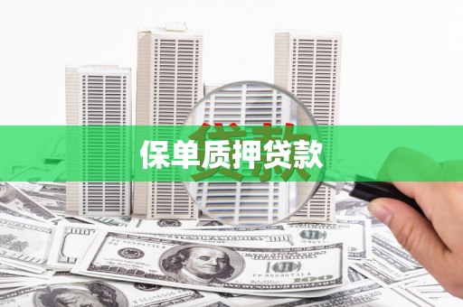旌德保单质押贷款