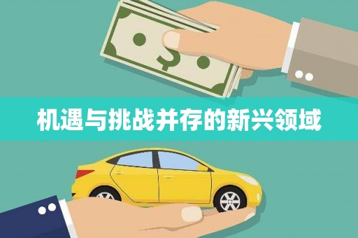旌德机遇与挑战并存的新兴领域